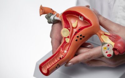 Vaginoplasty Improving Wellness with Vaginoplasty: Restoring Comfort, Confidence, and Health